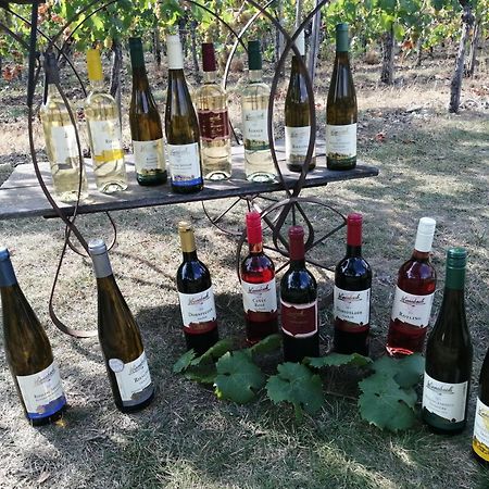 Ferienweingut Winnebeck Köwerich Dış mekan fotoğraf