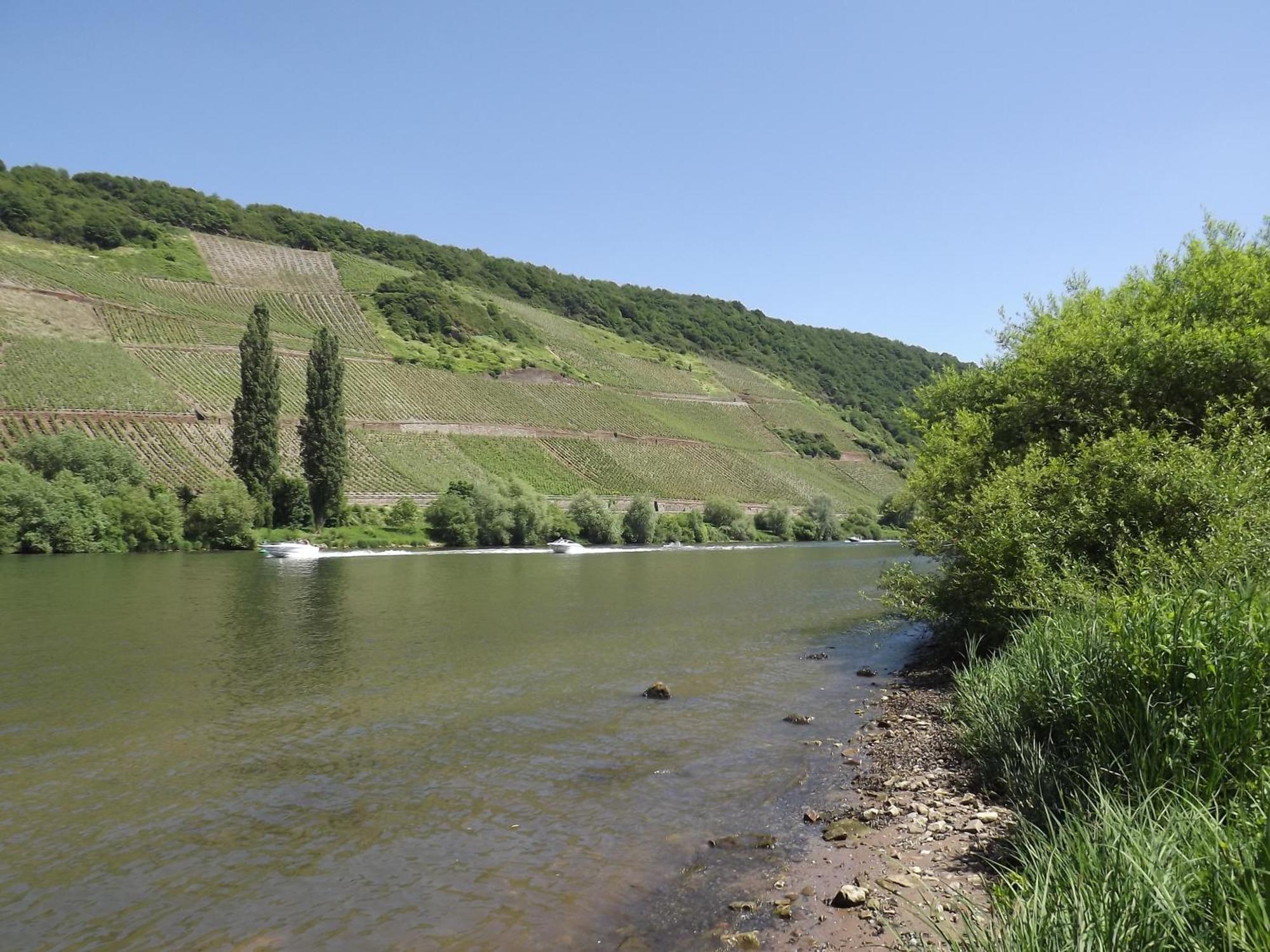 Ferienweingut Winnebeck Köwerich Oda fotoğraf