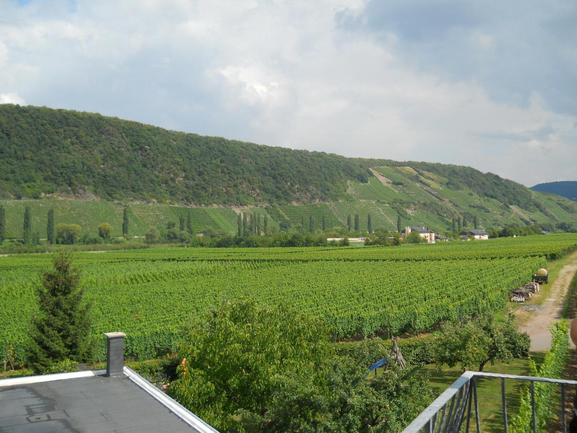 Ferienweingut Winnebeck Köwerich Oda fotoğraf