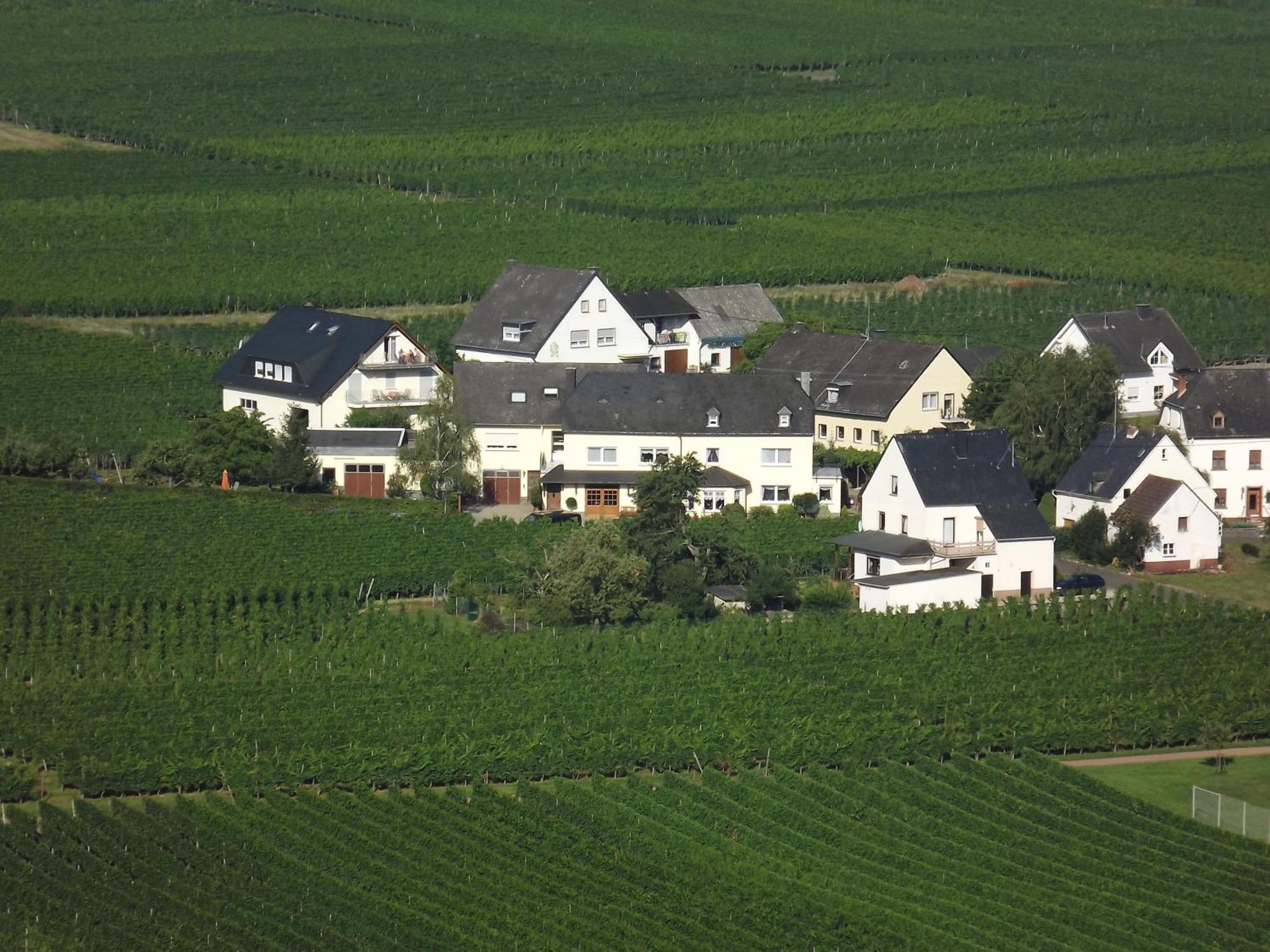 Ferienweingut Winnebeck Köwerich Oda fotoğraf