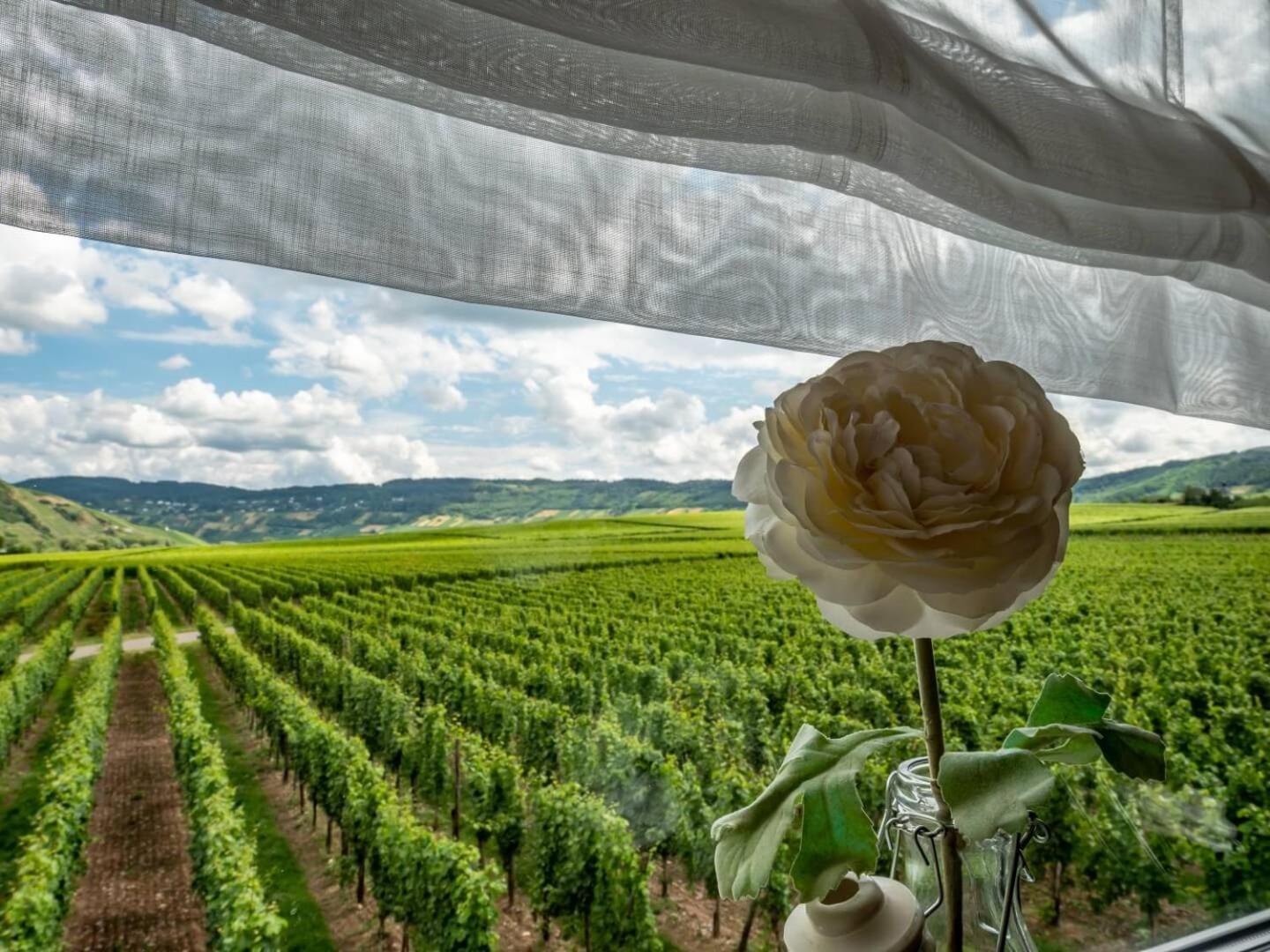 Ferienweingut Winnebeck Köwerich Dış mekan fotoğraf