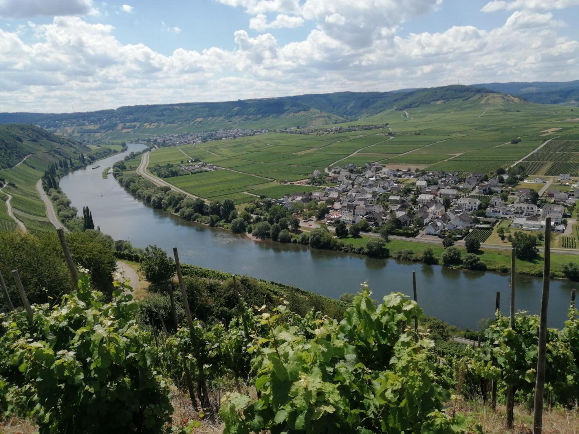 Ferienweingut Winnebeck Köwerich Dış mekan fotoğraf