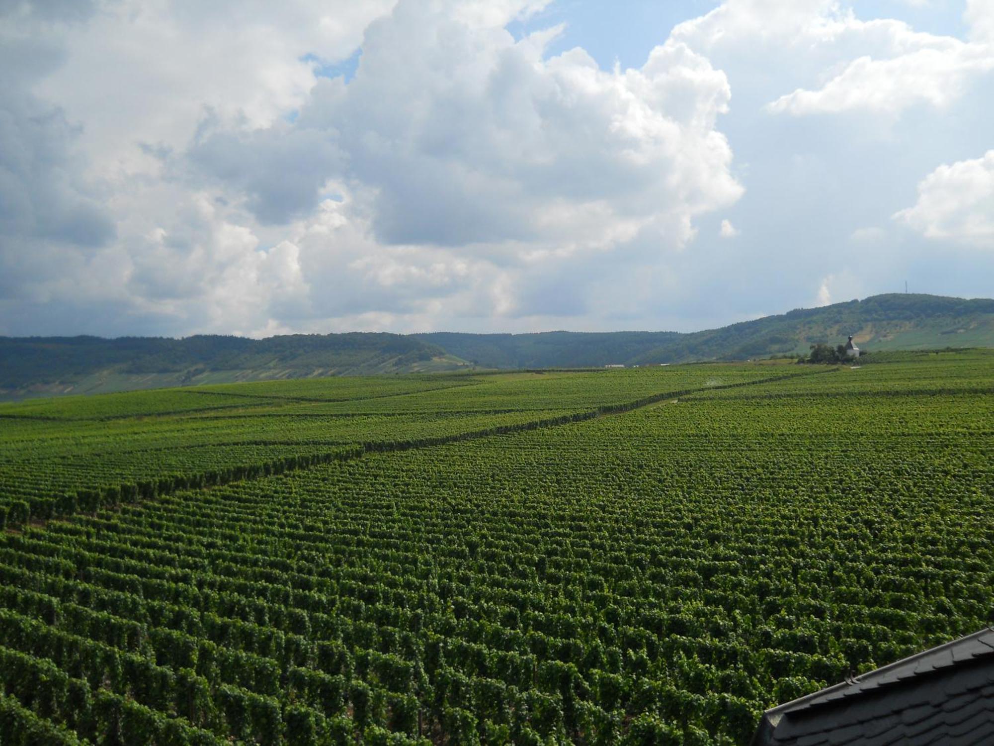 Ferienweingut Winnebeck Köwerich Dış mekan fotoğraf